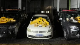 7bdc0c94-53f8-4b26-b825-3ee13654be43