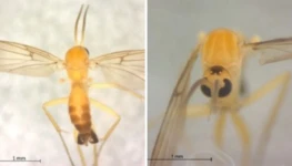 a200233a-a6af-44bf-941f-3f199fedf81f