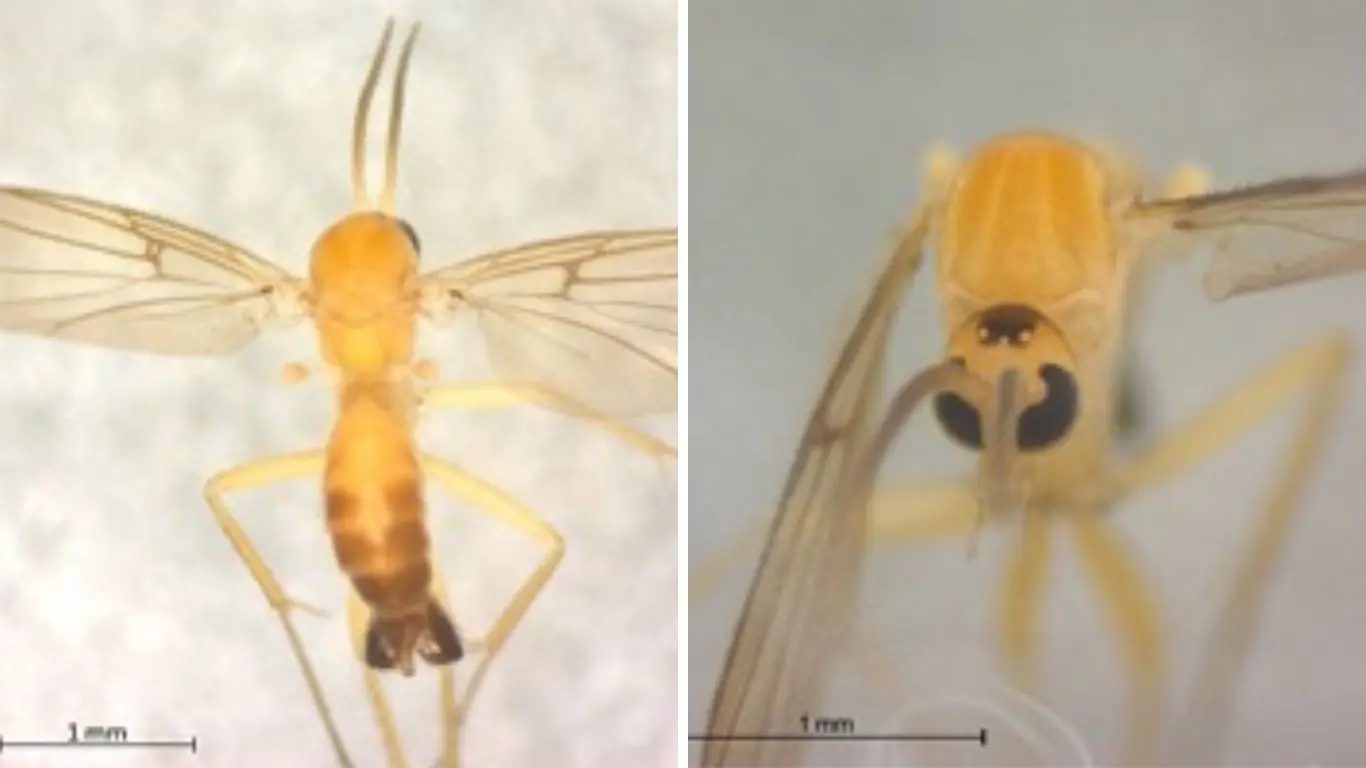 a200233a-a6af-44bf-941f-3f199fedf81f