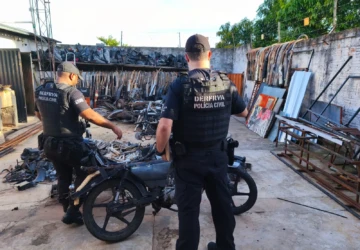 WhatsApp Image 2026-03-03 at 17.50.00