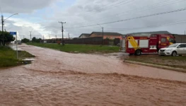 WhatsApp Image 2026-03-04 at 11.18.51