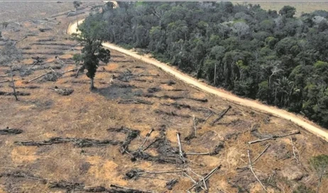 desmatamento-rondonia-carlos-fabal-afp