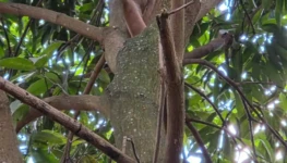 WhatsApp Image 2026-03-06 at 08.50.14