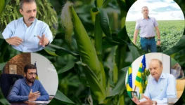 conflito-oriente-medio-milho-exportacao