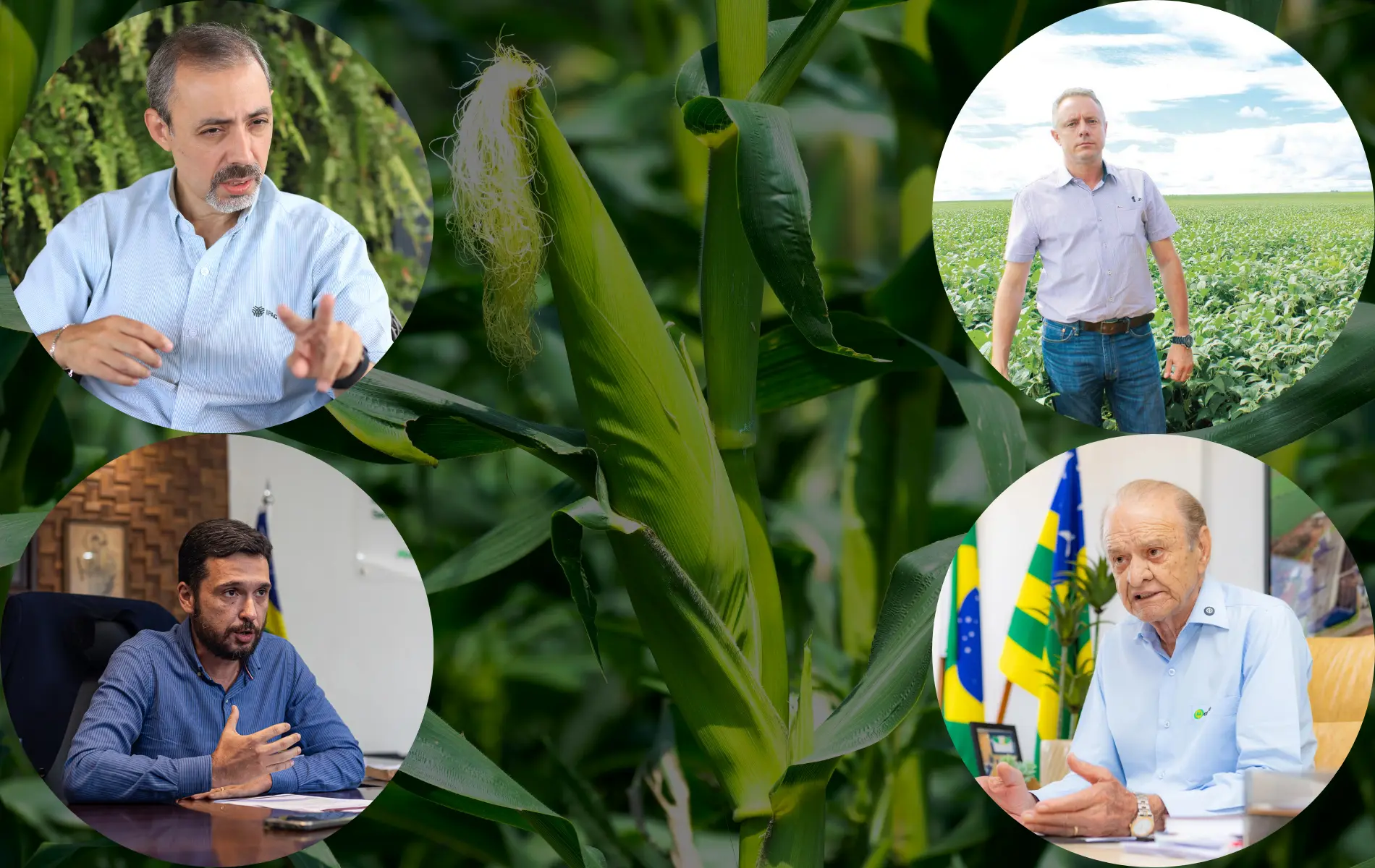 conflito-oriente-medio-milho-exportacao