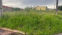 WhatsApp Image 2026-03-06 at 19.34.30