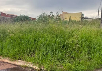 WhatsApp Image 2026-03-06 at 19.34.30