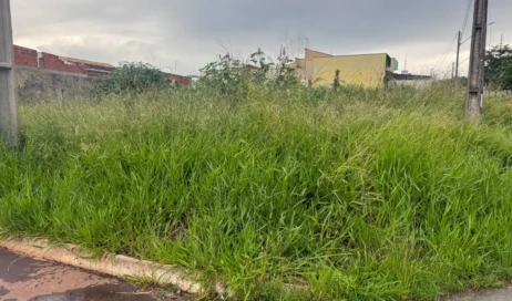 WhatsApp Image 2026-03-06 at 19.34.30