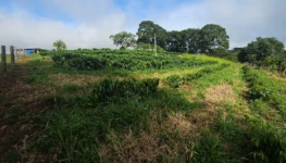 WhatsApp Image 2026-03-06 at 20.44.50 (1)