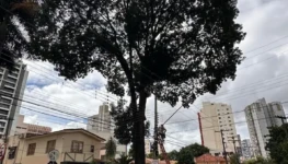 WhatsApp Image 2026-03-07 at 12.18.18