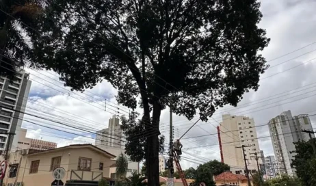 WhatsApp Image 2026-03-07 at 12.18.18