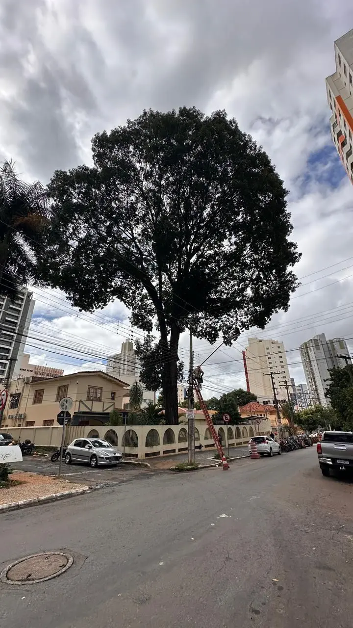 WhatsApp Image 2026-03-07 at 12.18.18