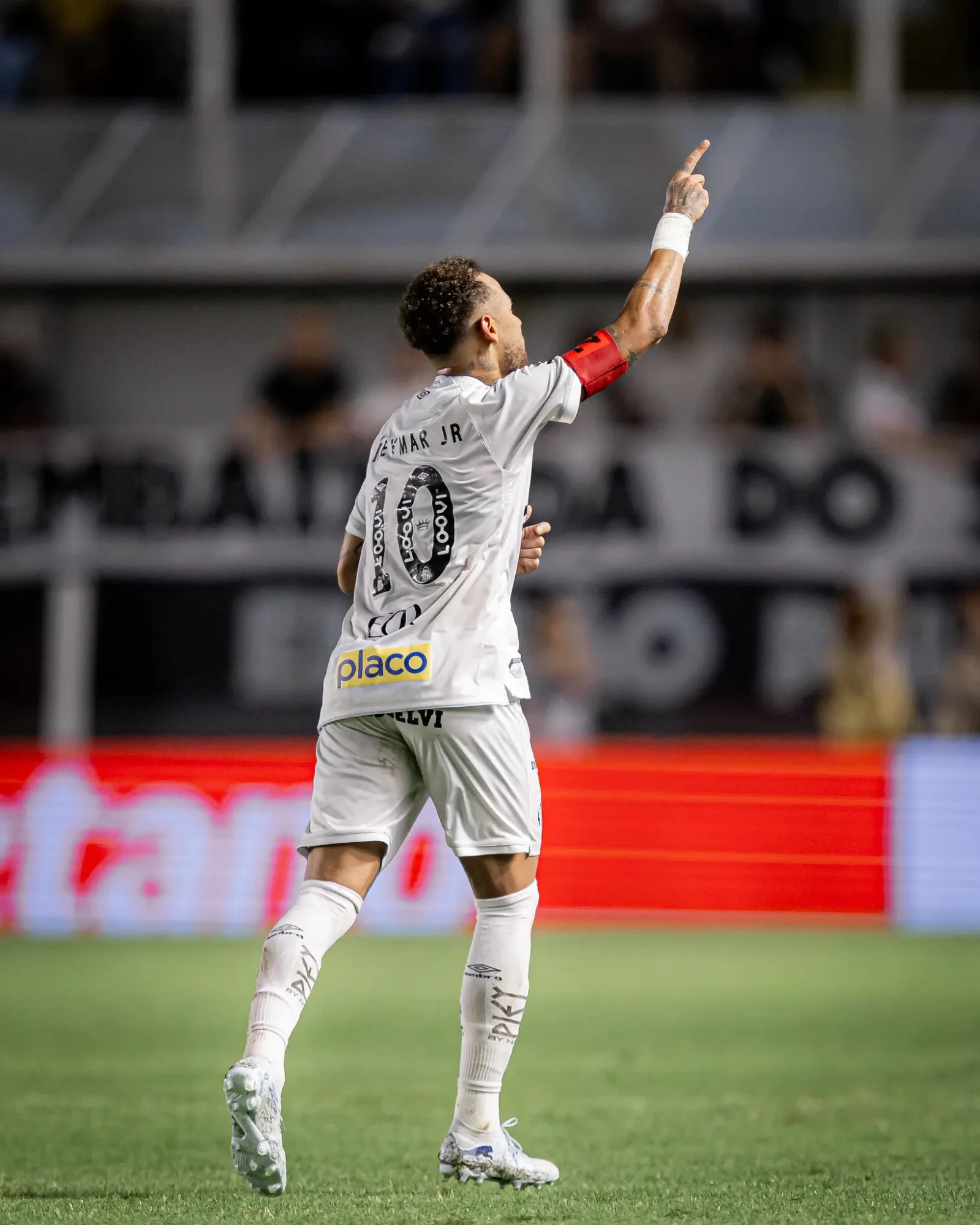 55118545369_7d446eae7b_k