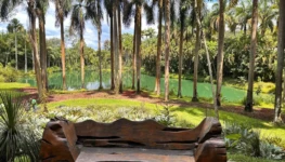 WhatsApp Image 2026-03-09 at 15.35.42