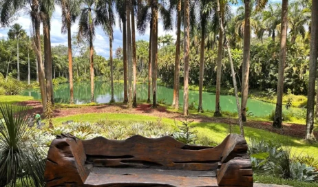 WhatsApp Image 2026-03-09 at 15.35.42