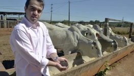 Prof_Victor_Rezende_Moreira_Couto_050