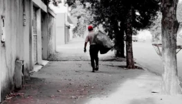 WhatsApp Image 2026-03-12 at 13.17.45