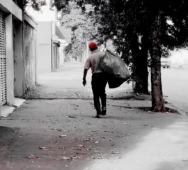 WhatsApp Image 2026-03-12 at 13.17.45