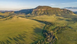 RPF-carbono-agricultura-veredas-2026-03-1140