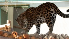 0fb7294f-b2e6-4794-bc2f-10de95f34337