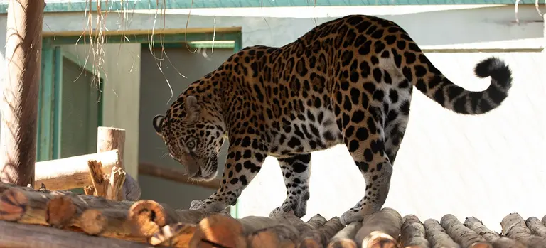 0fb7294f-b2e6-4794-bc2f-10de95f34337