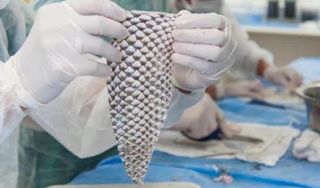 pele-tilapia