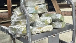 8f873d2a-fc6e-4437-bd32-5496a3ea8ce8