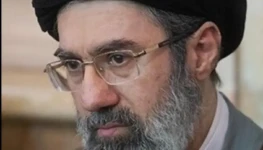 WhatsApp Image 2026-03-15 at 19.48.57