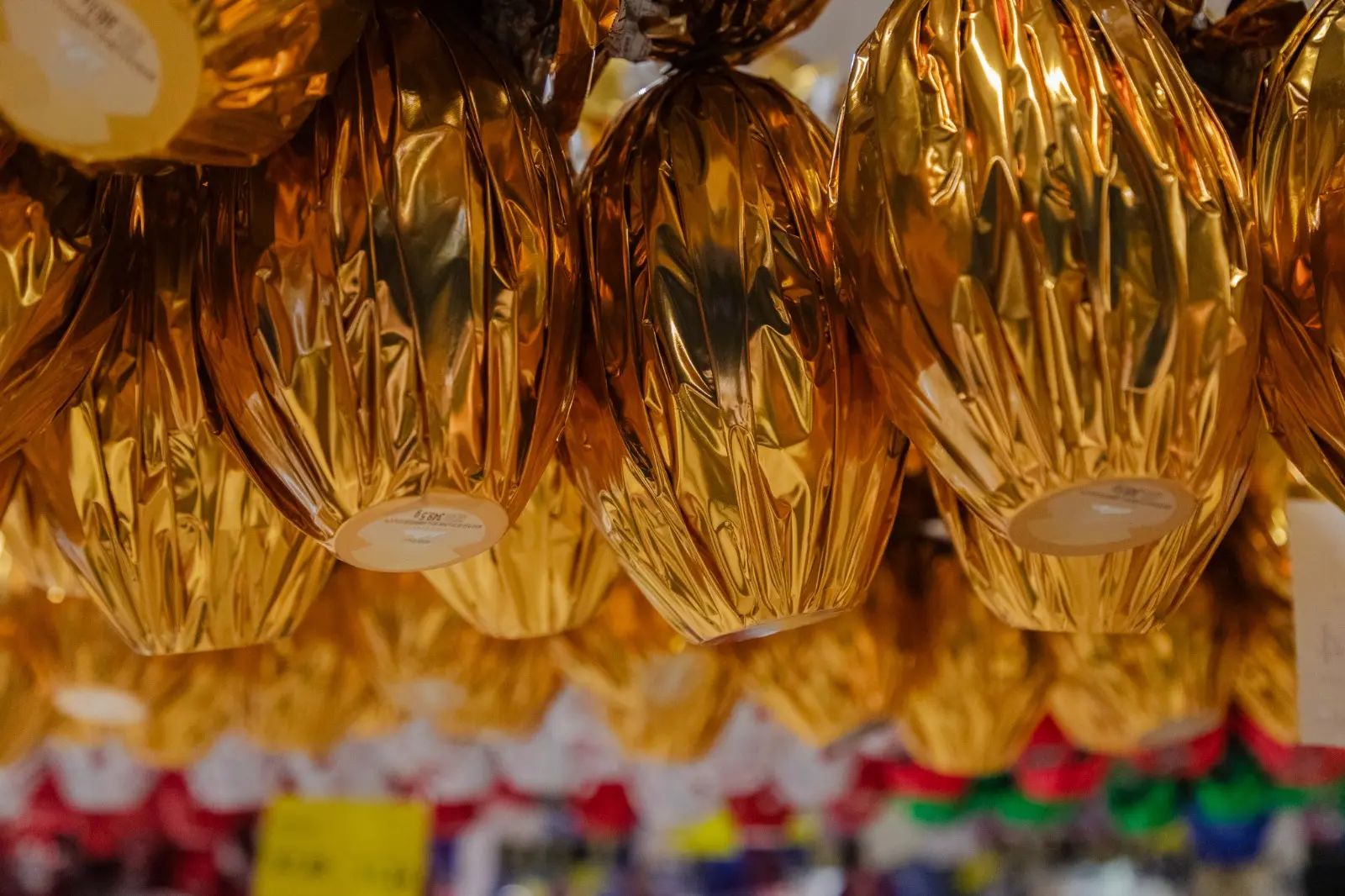 WhatsApp Image 2026-03-16 at 14.16.23