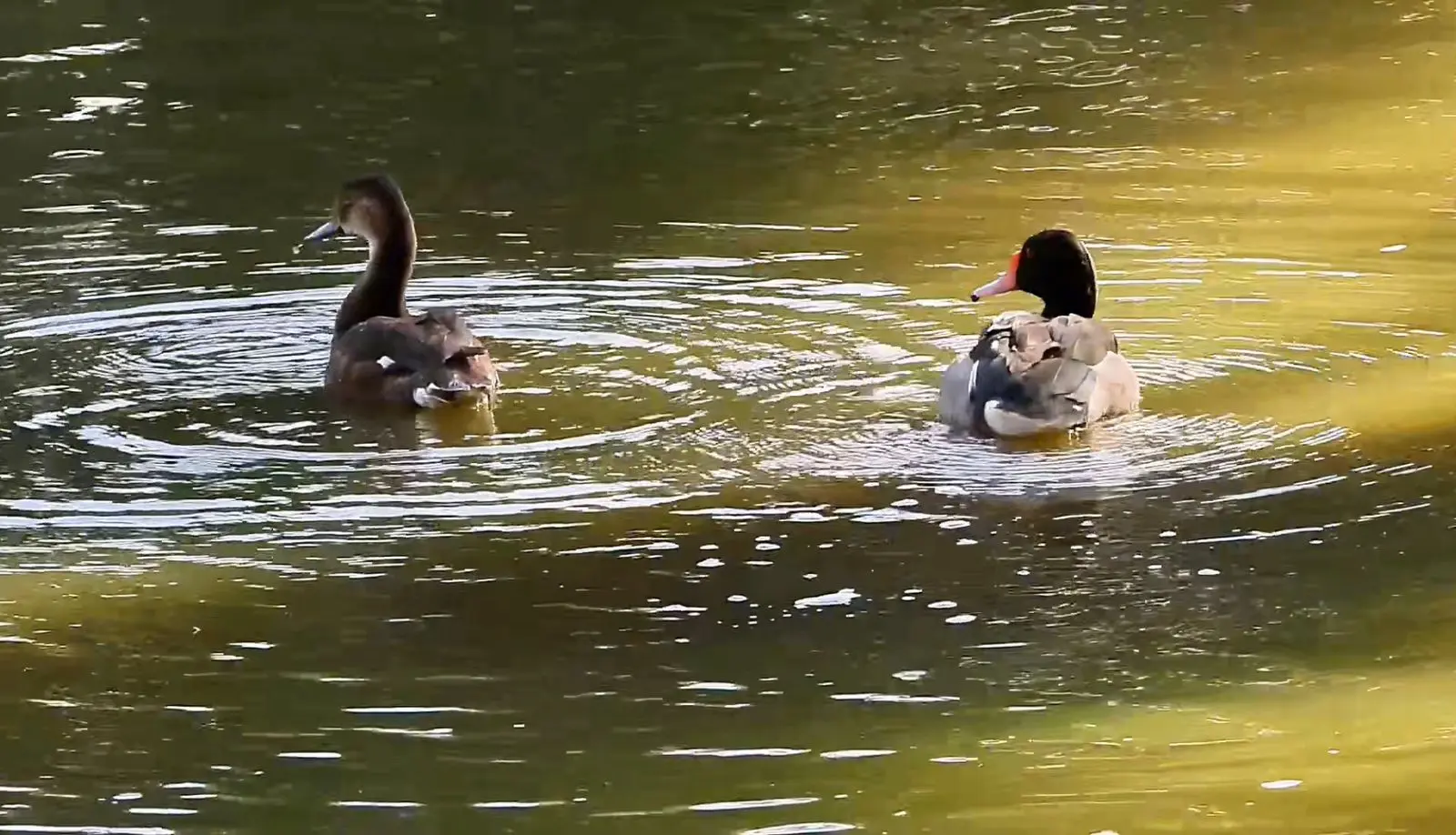 WhatsApp Image 2026-03-16 at 14.53.26