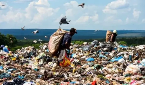 capa-do-site-8-696x392