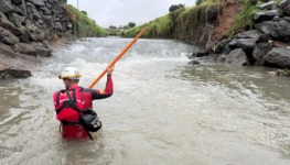 WhatsApp Image 2026-03-17 at 08.21.45