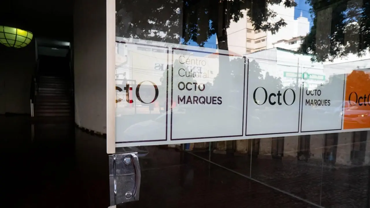 WhatsApp Image 2026-03-19 at 11.08.53