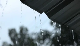 WhatsApp Image 2026-03-19 at 11.28.03