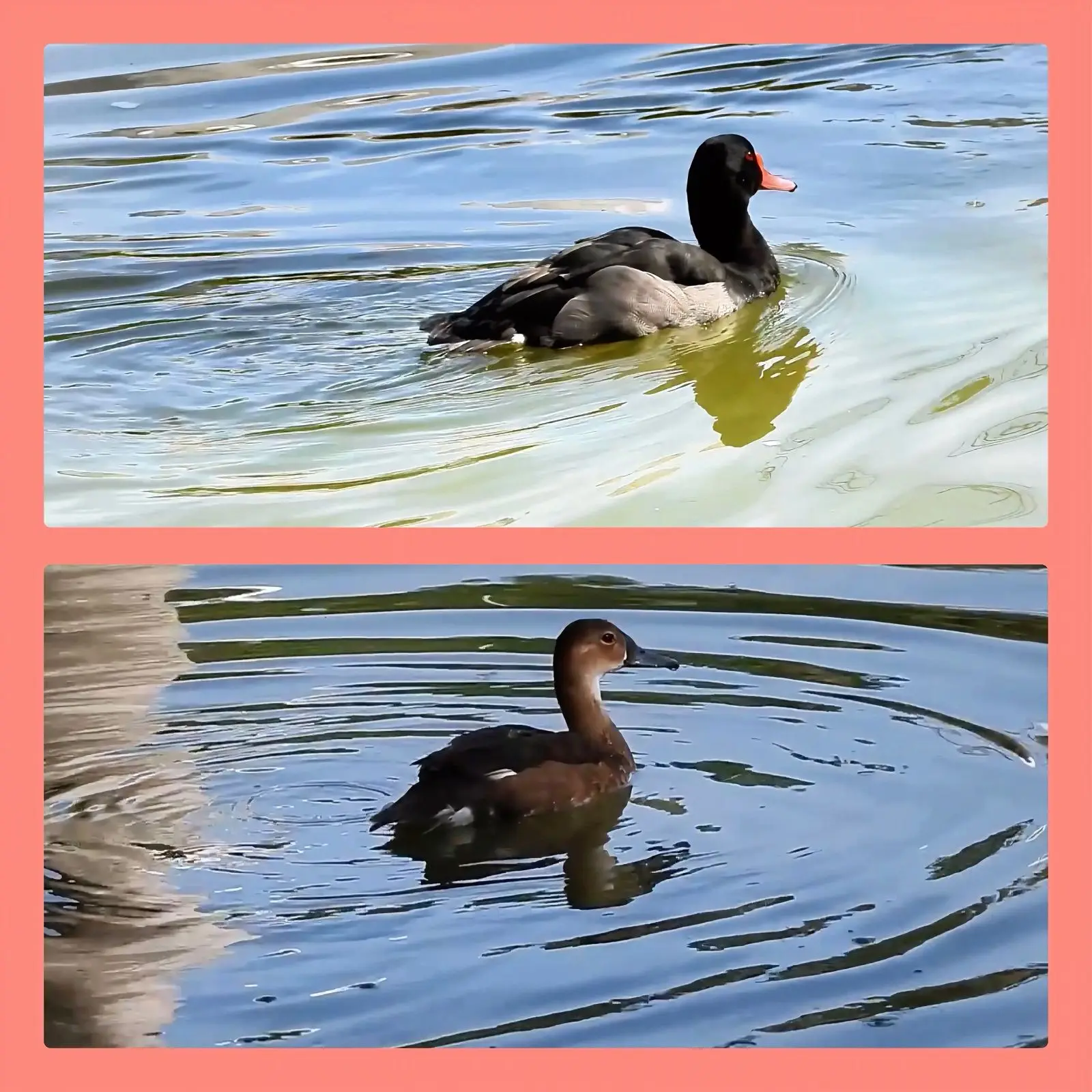 WhatsApp Image 2026-03-19 at 15.09.40