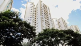 WhatsApp Image 2026-03-20 at 15.15.35