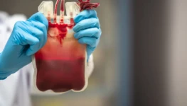 shutterstock_1666084213-1024x683