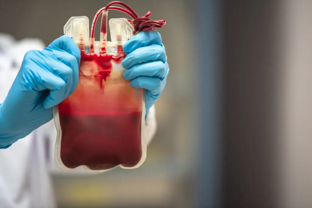 shutterstock_1666084213-1024x683