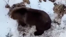 WhatsApp Image 2026-03-22 at 08.38.52