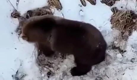 WhatsApp Image 2026-03-22 at 08.38.52