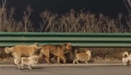 4703ed3a-abd7-4a9c-a50b-e5bec31f1512