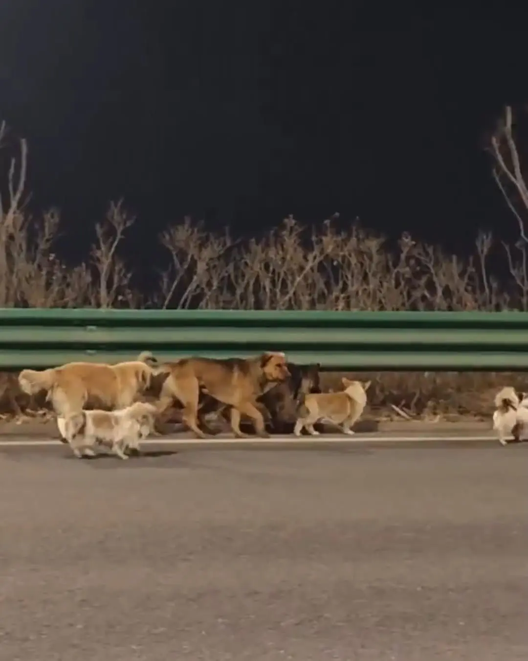 4703ed3a-abd7-4a9c-a50b-e5bec31f1512