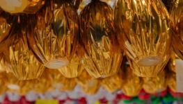 WhatsApp Image 2026-03-25 at 15.30.14