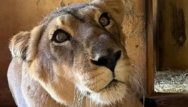 WhatsApp Image 2026-03-27 at 08.42.20