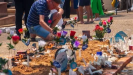 0fbf511ad599b28b8ddedf99bdb333ac