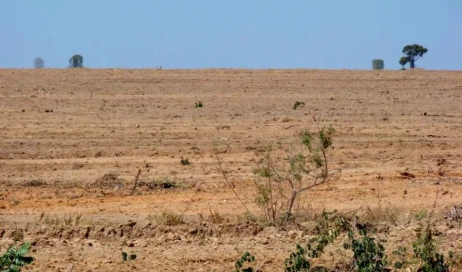 Ameacas-a-fauna-do-Cerrado