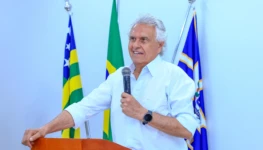 WhatsApp Image 2026-03-28 at 19.02.38