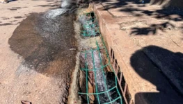 WhatsApp Image 2026-03-30 at 12.31.44