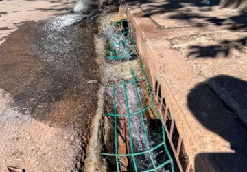 WhatsApp Image 2026-03-30 at 12.31.44