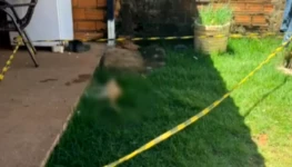 Charu Chandan Blood Drip (22)